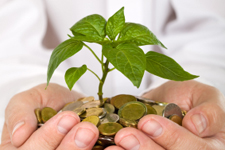 Hands holding a small plant sitting in a pile of coins