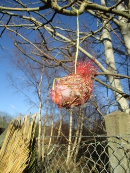 Nest making kit hanging from tree branch. Nest making kit.